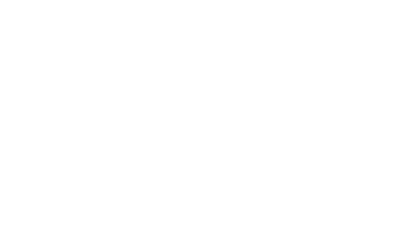 PMR Logo